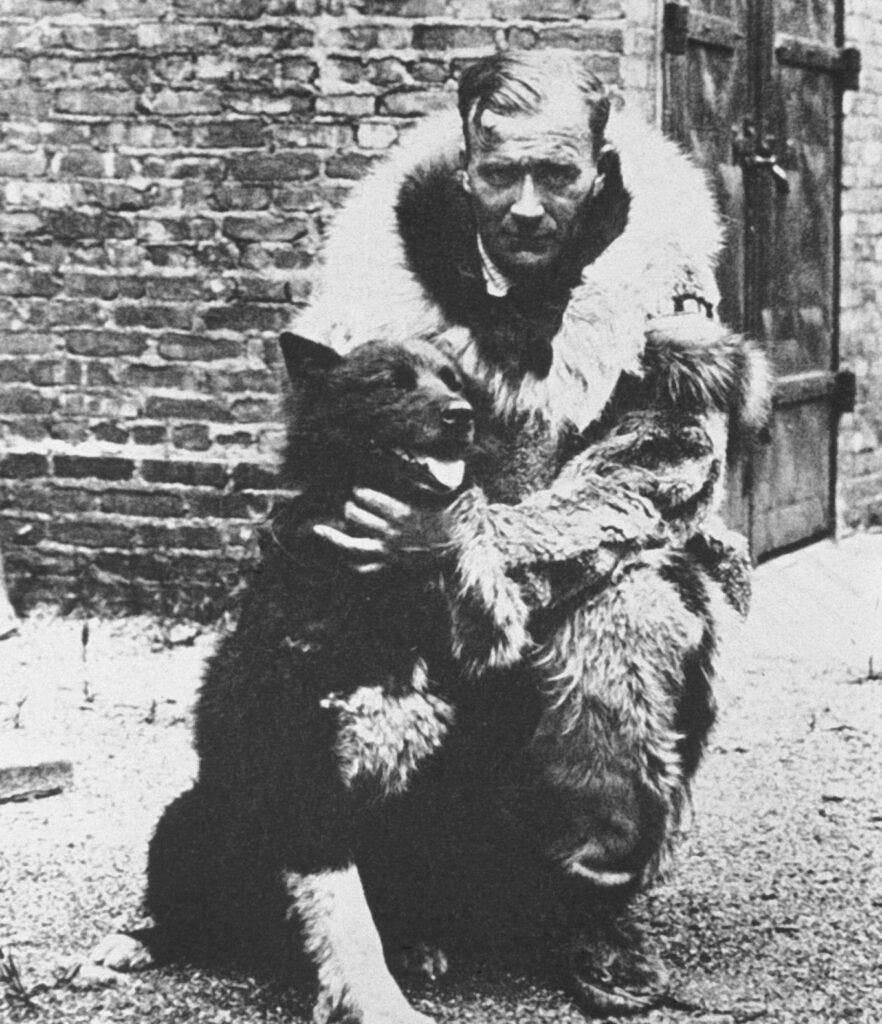 +45 Curiosidades sobre Balto ¡El perro icono en Alaska!