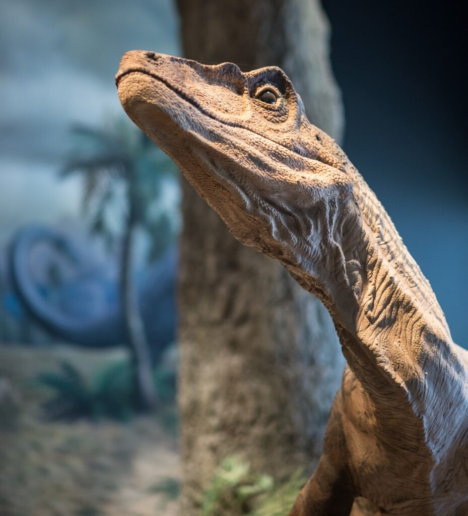 Curiosidades de los Dinosaurios: Datos unicos sobre ellos