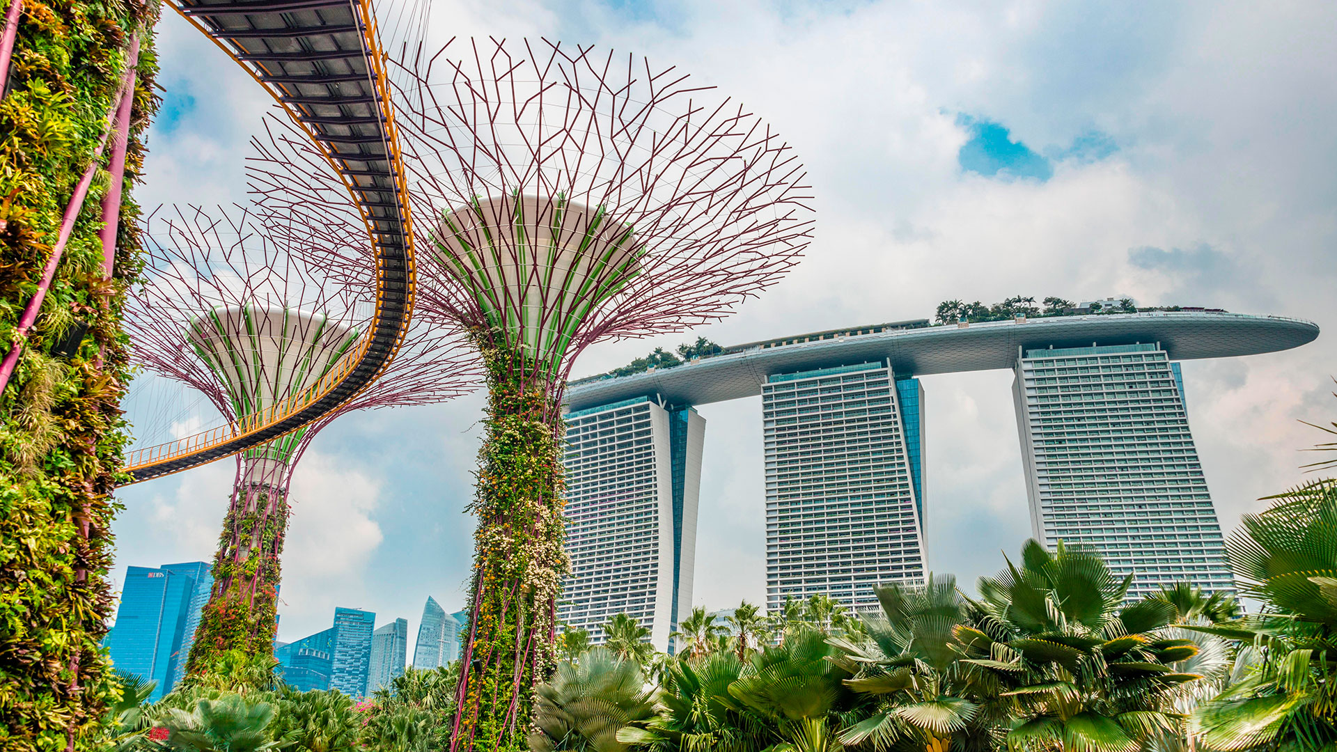 +41 Datos curiosos sobre Singapur: un país muy ecológico