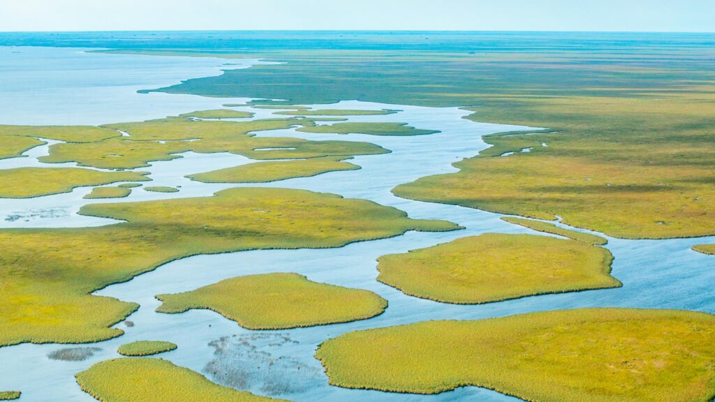 Curiosidades de los Esteros del Iberá.